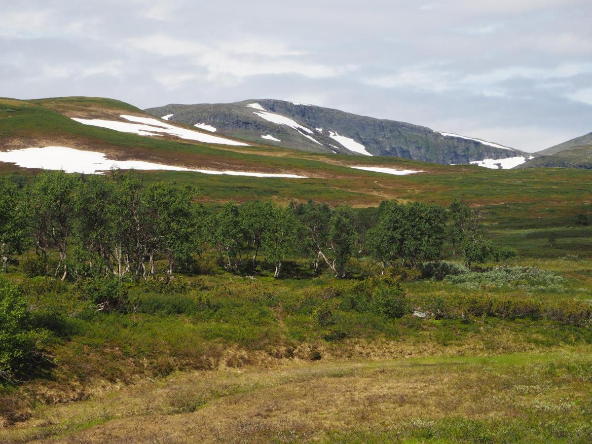 Ferienhaus , Funäsdalen